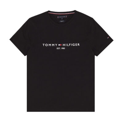 Купить CORE TOMMY LOGO TEE за 6 392 рублей с доставкой по России