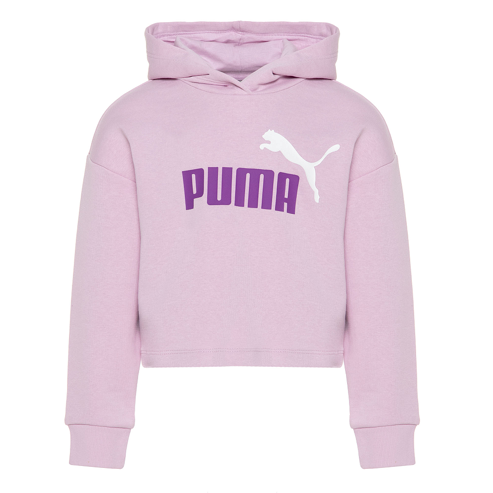 Купить PUMA Подростковая худи ESS+ 2color Logo Hoodie за 4 999 рублей в Москве и с доставкой по России