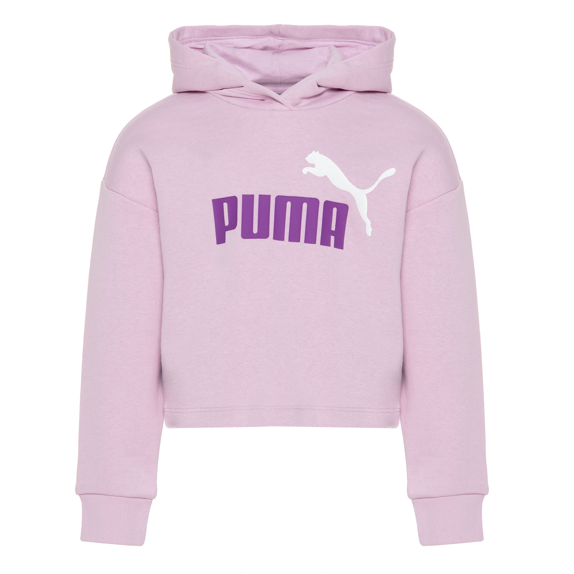 Купить PUMA Подростковая худи ESS+ 2color Logo Hoodie за 2 499 рублей в Москве и с доставкой по России