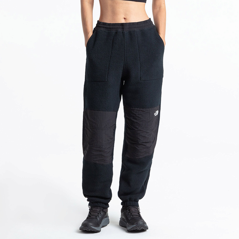 Купить The North Face Брюки  W RETRO DENALI PANT TNF BLACK за 14 499 рублей в Москве и с доставкой по России